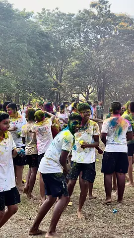 A crowd of students in colour-streaked clothes on the field under trees