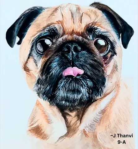 A pug's face in warm browns, tongue out
The Crossroads, Issue 05 · January–February 2023