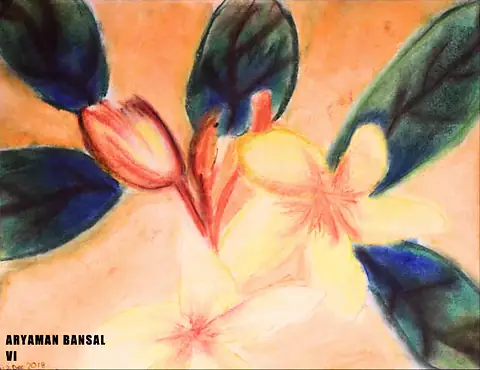 Pale orange flowers opening among dark green leaves
The Crossroads, Issue 06 · February–March 2023