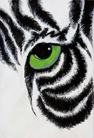 A tiger's green eye among black stripes
The Crossroads, Issue 15 · March 2024