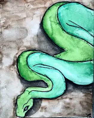 A green snake coiled on a brown wash
The Crossroads, Issue 22 · February 2025