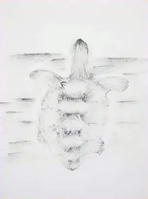 A turtle swimming, seen from above, in grey
The Crossroads, Issue 23 · April 2025