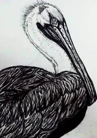 A pelican’s head and shoulders in charcoal, its long beak and feathers hatched in dark strokes
The Crossroads, Issue 33 · October 2026