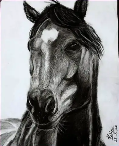 A horse’s head drawn in charcoal
The Crossroads, Issue 33 · October 2026