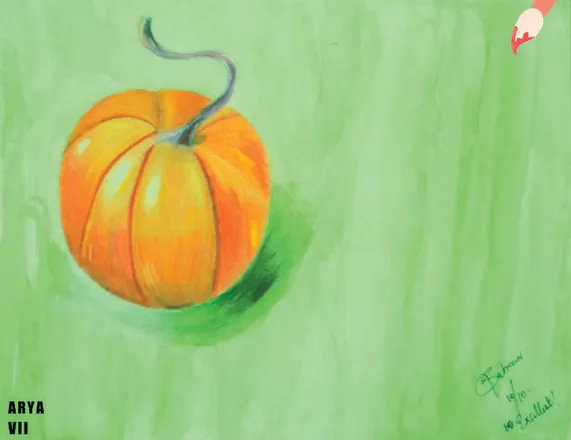 A single orange pumpkin on a green ground