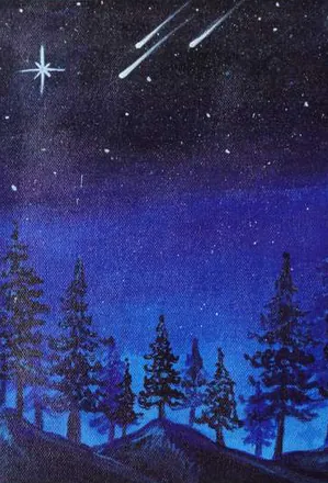 Pine trees against a starry night sky with shooting stars