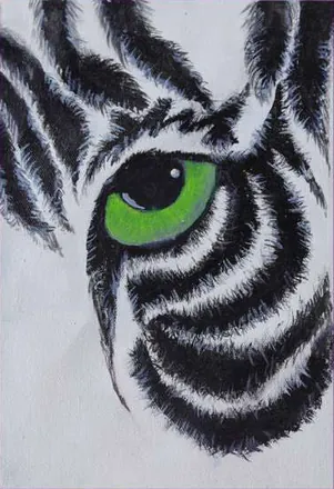 A tiger's green eye among black stripes