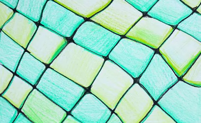 A close net of green squares outlined in black