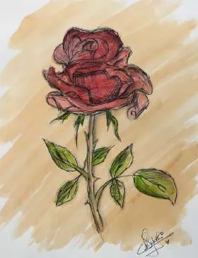 A single dark red rose on a warm brown wash