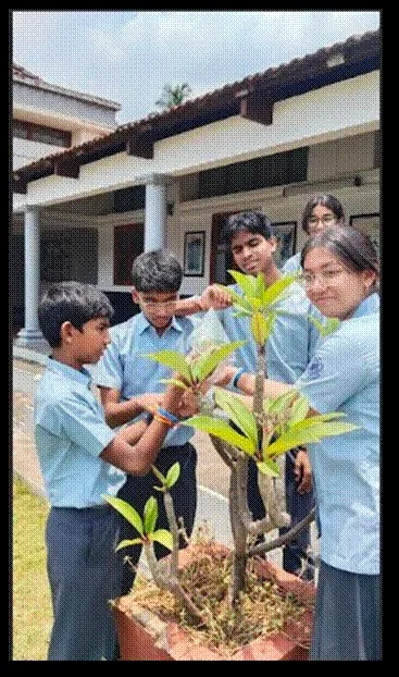 Grade 10 students studying transpiration with a potted plant